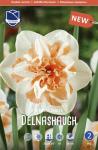 Нарцисс Дельнашо (Narcissus Delnashaugh), 5 шт (разбор 12/14)