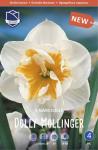 Нарцисс Долли Моллинджер (Narcissus Dolly Mollinger), 5 шт (разбор 12/14)