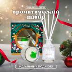 Набор Aroma Harmony "Прикосновение зимы" диффузор 30 мл + свеча 60гр АХ