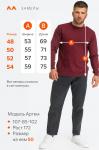 Мужской джемпер Happyfox