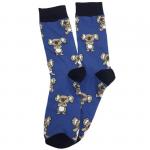 В мире животных | Носки "Коала", р-р 40-44 (джинс/черный)