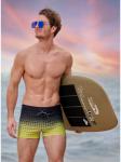 Пляжные шорты