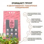 Цион Detox