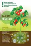 Набор c кокосом для посадки декоративно лиственных комнатных растений