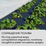 Материал мульчирующий, 5 _ 1.6 м, плотность 60 г/м_, спанбонд с УФ-стабилизатором, чёрный, Greengo, Эконом 30%