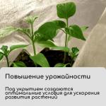 Материал укрывной, 10 _ 3.2 м, плотность 20 г/м_, с УФ-стабилизатором, белый, Greengo, Эконом 30%