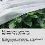 Материал укрывной, 10 _ 1.6 м, плотность 20 г/м_, спанбонд с УФ-стабилизатором, белый, Greengo, Эконом 30%