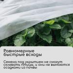 Материал укрывной, 10 _ 1.6 м, плотность 20 г/м_, спанбонд с УФ-стабилизатором, белый, Greengo, Эконом 30%