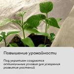 Материал укрывной, 5 _ 3,2 м, плотность 42 г/м_, спанбонд с УФ-стабилизатором, белый, Greengo, Эконом 30%