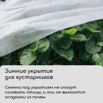 Материал укрывной, 5 _ 3,2 м, плотность 42 г/м_, спанбонд с УФ-стабилизатором, белый, Greengo, Эконом 30%