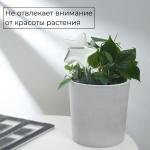 Автополив для комнатных растений, ПВХ, «Звезда», 100 мл, Greengo