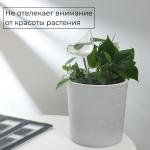 Автополив для комнатных растений, ПВХ, «Птичка», 90 мл, Greengo