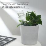 Автополив для комнатных растений, ПВХ, «Сова», 200 мл, Greengo