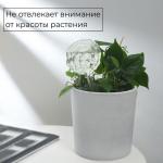 Автополив для комнатных растений, ПВХ, 140 мл, «Цветок», Greengo