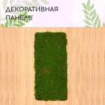 Декоративная панель, 90 ? 40 см, «Папоротник», Greengo