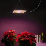 INBLOOM Подвесная фитолампа 169LED (W28; Y84; R41; B8; G8), 25х25см, 45Вт, 220В (24В), IP20