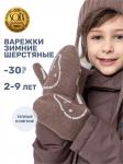 Варежки 14з17024 кофе