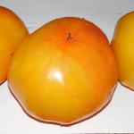 Томат Золото Мордовии 10 шт