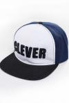 Бейсболка CLEVER #839416
