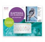 "ФРЕЯ"   PKZ/PM-091   Набор для раскрашивания по номерам (на картоне)   40 х  30 см