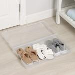 Короб для хранения обуви «Реноме», 61?34?13 см, прозрачный