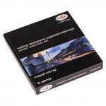 Акварель художественная Гамма Старый Мастер, 12цв.*2,6мл, кюветы, картон, 20052021