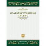 Благодарственное письмо А4, BG, мелованный картон, зеленое, Б4_61451