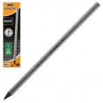 Карандаш ч/г Bic Evolution Black HB, заточен., 896017