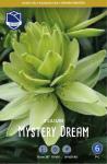 Лилия азиатская Мистери Дрим (double Mystery Dream), 3 шт (разбор 14/16)