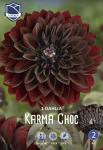 Георгина декоративная Карма Чок (Karma Choc), 1 шт