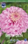Георгина декоративная Гарден Куин (Garden Queen), 1 шт