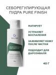 Cеборегулирующая пудра Pure Finish