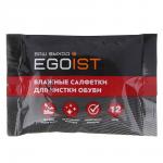 EGOIST Салфетки влажные для обуви, 12шт