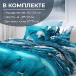 Комплект постельного белья 1,5-спальный, бязь ГОСТ (220) (Дельфин 3 D)