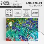 Алмазная мозаика с полным заполнением на холсте «Ирисы», 30 х 40 см