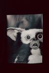 Футболка 3013 GIZMO