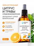 Beauty 365 Дезодорант минеральный натуральный с ароматом Цитрус и средиземномские травы, 100мл+ДУ/упак12шт