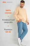 Мужской свитшот оверсайз из футера трехнитки Happyfox