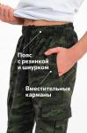 Брюки для мальчика Happyfox