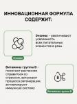 Биомолекулы для декоративно-лиственных растений, 400 мл