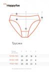 Трусы для девочки 5шт. Happyfox