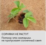 Укрытие кокосовое для приствольных кругов D=17см PLANT /50 Шри-Ланка