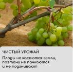 Укрытие кокосовое для приствольных кругов D=90см PLANT /10 Шри-Ланка