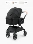 Коляска 2 в 1 CELINE PRO