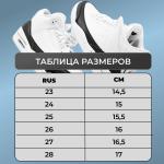 Ботинки демисезонные 2395 черные п/п