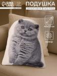 Подушка «Этель» Fluffy kitten, 40?33 см, 100% п/э, велюр