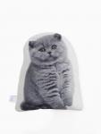 Подушка «Этель» Fluffy kitten, 40?33 см, 100% п/э, велюр