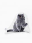Подушка «Этель» British cat, 40?33 см, 100% п/э, велюр