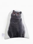 Подушка «Этель» Scottish cat, 40?33 см, 100% п/э, велюр