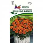 Бархатцы отклоненные Бонанза Флэйм